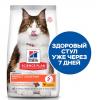 Hill's Science Plan Perfect Digestion (для кошек, с курицей и коричневым рисом)