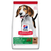 Hill's Science Plan Puppy (для щенков средних пород для поддержания сильного иммунитета, ягнёнок рис) Hill's Science Plan Puppy (для щенков средних пород для поддержания сильного иммунитета, ягнёнок рис)