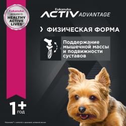 Eukanuba Adult Toy Breed (для взрослых собак миниатюрных пород от года и старше, с птицей) Eukanuba Adult Toy Breed (для взрослых собак миниатюрных пород от года и старше, с птицей)