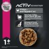 Eukanuba Adult Toy Breed (для взрослых собак миниатюрных пород от года и старше, с птицей) Eukanuba Adult Toy Breed (для взрослых собак миниатюрных пород от года и старше, с птицей)