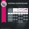 Eukanuba Adult Toy Breed (для взрослых собак миниатюрных пород от года и старше, с птицей) Eukanuba Adult Toy Breed (для взрослых собак миниатюрных пород от года и старше, с птицей)