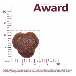 Сухой корм AWARD Indoor Big cats для взрослых домашних кошек крупных пород с говядиной и курицей с добавлением брокколи