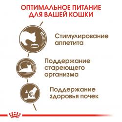 Royal Canin Ageing 12+ (для кошек старше 12 лет)