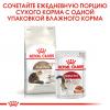 Royal Canin Ageing 12+ (для кошек старше 12 лет)