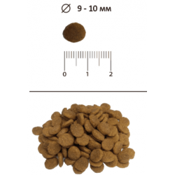 BLITZ Sensitive Adult Cats (сухой корм для кошек с чувствительным пищеварением с говядиной)