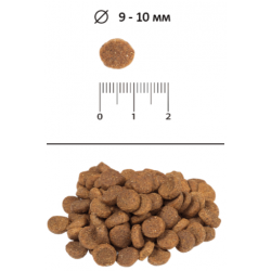 BLITZ Classic Adult Cats (для кошек с курицей)