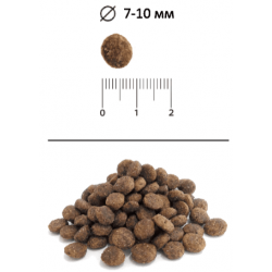 BLITZ Holistic Low Grain Sterilised Cats (сухой низкозерновой корм для стерилизованных кошек с курицей и печенью)