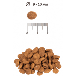 BLITZ Sensitive Adult Cats (сухой корм для кошек с чувствительным пищеварением с индейкой)