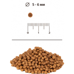 BLITZ Sensitive Kitten (сухой корм для котят с чувствительным пищеварением с индейкой)