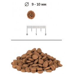 BLITZ Sensitive Sterilised Cats (сухой корм для стерилизованных кошек с чувствительным пищеварением с индейкой)