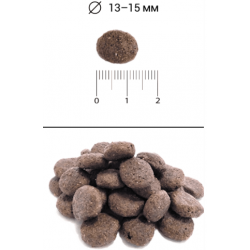 BLITZ Holistic Grain Free Adult (беззерновой корм для собак с ягненком и уткой)