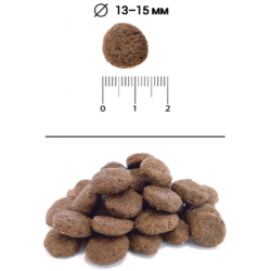 BLITZ Holistic Grain Free Adult (беззерновой корм для собак с говядиной и белой рыбой)