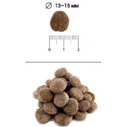 BLITZ Holistic Low Grain Adult (низкозерновой корм для собак со свежей уткой)