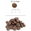 BLITZ Holistic Low Grain Adult (сухой низкозерновой корм для собак со свежей форелью)