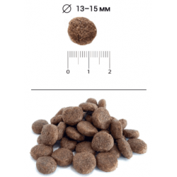 BLITZ Holistic Low Grain Adult (сухой низкозерновой корм для собак со свежей форелью)