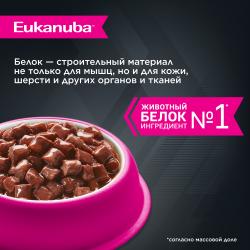 Eukanuba Adult All Breed (для взрослых собак всех пород старше 1 года, с ягненком в соусе) 100г х 12шт