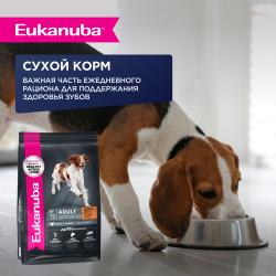 Eukanuba Adult All Breed (для взрослых собак всех пород старше 1 года, с ягненком в соусе) 100г х 12шт