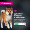 Eukanuba Adult Breed (для взрослых собак мелких и средних пород старше 1 года с ягненком) Eukanuba Adult Breed (для взрослых собак мелких и средних пород старше 1 года с ягненком)