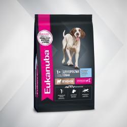 Быстрый заказ — Eukanuba Adult Large Breed (для взрослых собак крупных и очень крупных пород от года и старше, с ягненком)