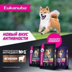 Eukanuba Adult Large Breed (для взрослых собак крупных и очень крупных пород от года и старше, с ягненком) Eukanuba Adult Large Breed (для взрослых собак крупных и очень крупных пород от года и старше, с ягненком)