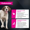 Eukanuba Adult Large Breed (для взрослых собак крупных и очень крупных пород от года и старше, с ягненком)