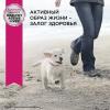 Eukanuba Puppy Small Breed (для щенков мелких пород от 1 до 12 месяцев, с птицей)