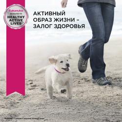 Eukanuba Puppy Small Breed (для щенков мелких пород от 1 до 12 месяцев, с птицей)