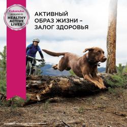 Eukanuba Adult Large Breed (для взрослых собак крупных и очень крупных пород от года и старше, с птицей) Eukanuba Adult Large Breed (для взрослых собак крупных и очень крупных пород от года и старше, с птицей)