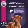 Eukanuba Puppy Large Breed (для щенков крупных пород, с птицей) Eukanuba Puppy Large Breed (для щенков крупных пород, с птицей)