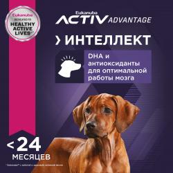 Eukanuba Puppy Large Breed (для щенков крупных пород, с птицей) Eukanuba Puppy Large Breed (для щенков крупных пород, с птицей)