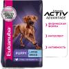 Eukanuba Puppy Large Breed (для щенков крупных пород, с птицей) Eukanuba Puppy Large Breed (для щенков крупных пород, с птицей)