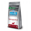 Farmina Vet Life GastroIntestinal Dog (ветеринарный корм для собак при воспалительных заболеваниях ЖКТ, нарушении переваривания и всасывания) Farmina Vet Life GastroIntestinal Dog (ветеринарный корм для собак при воспалительных заболеваниях ЖКТ, нарушении переваривания и всасывания)