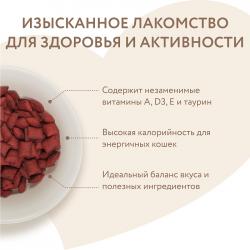Мнямс хрустящие подушечки "Здоровье и активность" с курицей и сыром 60 г Мнямс хрустящие подушечки "Здоровье и активность" с курицей и сыром 60 г