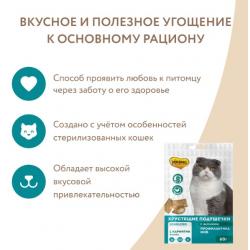 Мнямс хрустящие подушечки  "Профилактика МКБ" для стерилизованных кошек с цыпленком и клюквой 60 г Мнямс хрустящие подушечки  "Профилактика МКБ" для стерилизованных кошек с цыпленком и клюквой 60 г