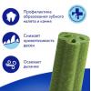 Мнямс DENTAL "Зубной спонж" (лакомство для щенков и взрослых собак средних и крупных пород, с эвкалиптом и телятиной) 25г Мнямс DENTAL "Зубной спонж" (лакомство для щенков и взрослых собак средних и крупных пород, с эвкалиптом и телятиной) 25г