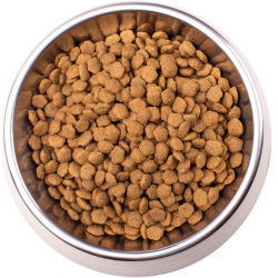 Monge VetSolution Cat Diabetic (ветеринарный корм для кошек при сахарном диабете)