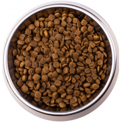 Monge VetSolution Cat Gastrointestinal (ветеринарный корм для кошек  при заболеваниях ЖКТ)