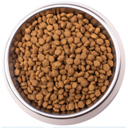 Monge VetSolution Cat Obesity  (сухой ветеринарный корм для кошек при избыточном весе)