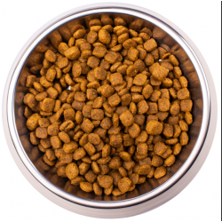 Monge VetSolution Cat Renal (ветеринарный корм для кошек при заболевании почек)