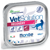 Monge VetSolution Cat Recovery (влажный ветеринарный корм для котов при восстановлении питания в период выздоровления )