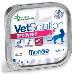 Быстрый заказ — Monge VetSolution Cat Recovery (влажный ветеринарный корм для котов при восстановлении питания в период выздоровления )