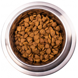 Monge VetSolution Dog Cardiac (сухой ветеринарный корм для собак при заболеваниях сердца) Monge VetSolution Dog Cardiac (сухой ветеринарный корм для собак при заболеваниях сердца)