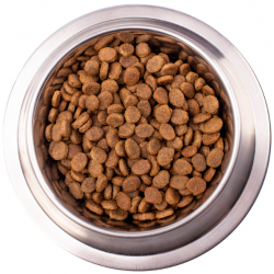 Monge VetSolution Dog Dermatosis (сухой ветеринарный корм для собак при заболеваниях кожи) Monge VetSolution Dog Dermatosis (сухой ветеринарный корм для собак при заболеваниях кожи)