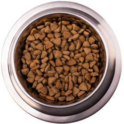Monge VetSolution Dog Diabetic (сухой ветеринарный корм для собак при сахарном диабете) Monge VetSolution Dog Diabetic (сухой ветеринарный корм для собак при сахарном диабете)