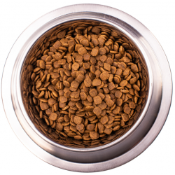 Monge VetSolution Dog Gastrointestinal (сухой ветеринарный корм для щенков при заболеваниях ЖКТ) Monge VetSolution Dog Gastrointestinal (сухой ветеринарный корм для щенков при заболеваниях ЖКТ)