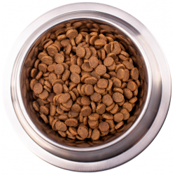 Monge VetSolution Dog Gastrointestinal (сухой ветеринарный корм для собак при заболеваниях ЖКТ) Monge VetSolution Dog Gastrointestinal (сухой ветеринарный корм для собак при заболеваниях ЖКТ)