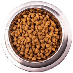 Monge VetSolution Dog Hepatic (сухой ветеринарный корм для собак при заболеваниях печени) Monge VetSolution Dog Hepatic (сухой ветеринарный корм для собак при заболеваниях печени)