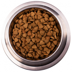 Monge VetSolution Dog  Obesity (сухой ветеринарный корм для собак при избыточном весе) Monge VetSolution Dog  Obesity (сухой ветеринарный корм для собак при избыточном весе)