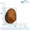 Monge VetSolution Dog  Obesity (сухой ветеринарный корм для собак при избыточном весе) Monge VetSolution Dog  Obesity (сухой ветеринарный корм для собак при избыточном весе)