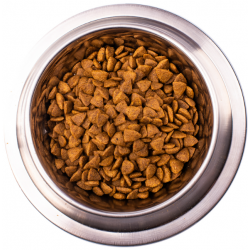 Monge VetSolution Dog Renal and Oxalate (сухой ветеринарный корм для собак при болезни почек) Monge VetSolution Dog Renal and Oxalate (сухой ветеринарный корм для собак при болезни почек)